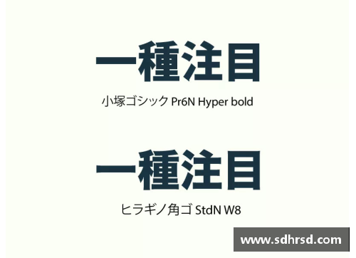 体育明星中文字体设计的艺术魅力与视觉冲击力探讨