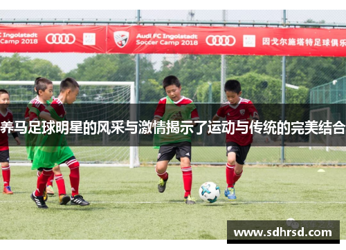 养马足球明星的风采与激情揭示了运动与传统的完美结合