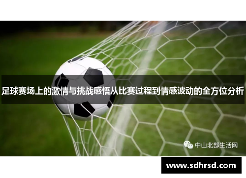 足球赛场上的激情与挑战感悟从比赛过程到情感波动的全方位分析