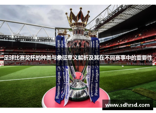 足球比赛奖杯的种类与象征意义解析及其在不同赛事中的重要性