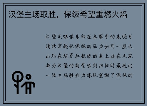 汉堡主场取胜，保级希望重燃火焰